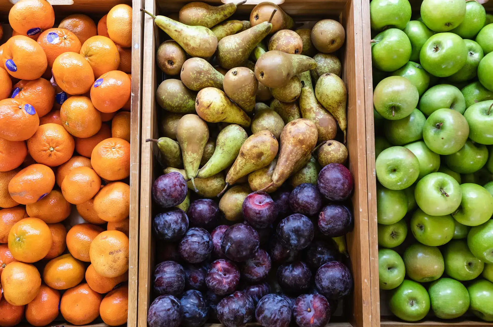 Content Page Gallery Image