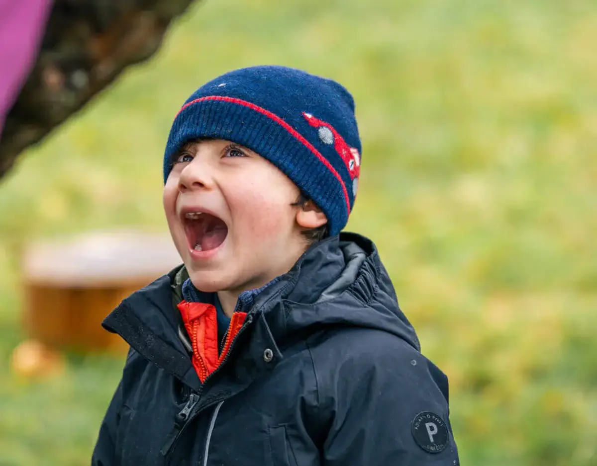 Stay and Play: Forest School