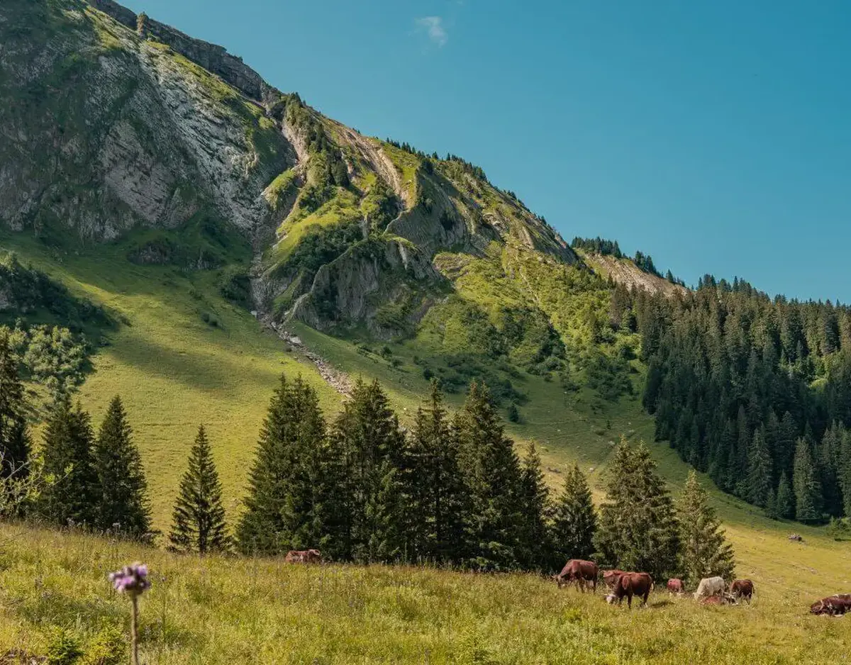 Trip to Morzine