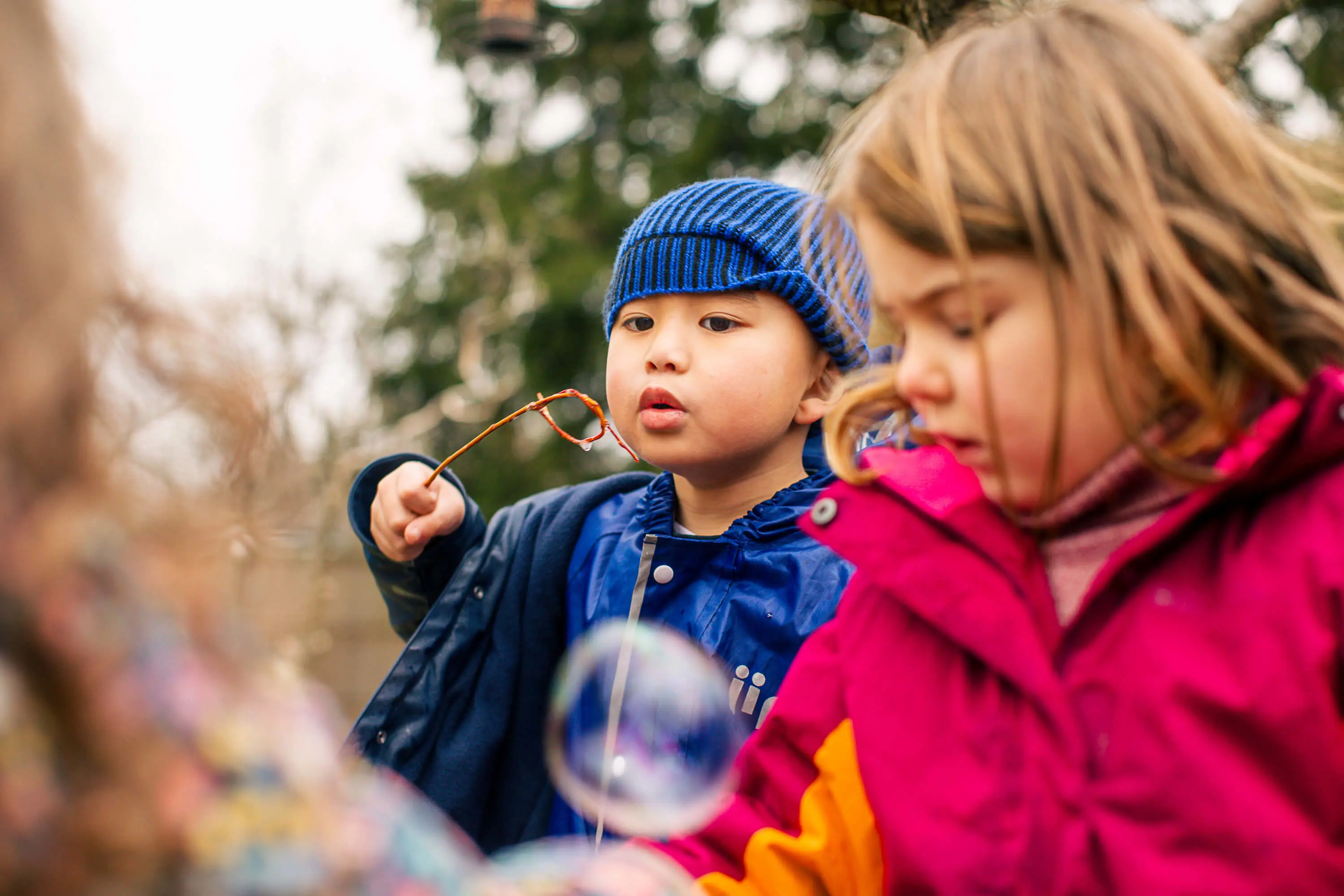  OptimizedImage,Optimized