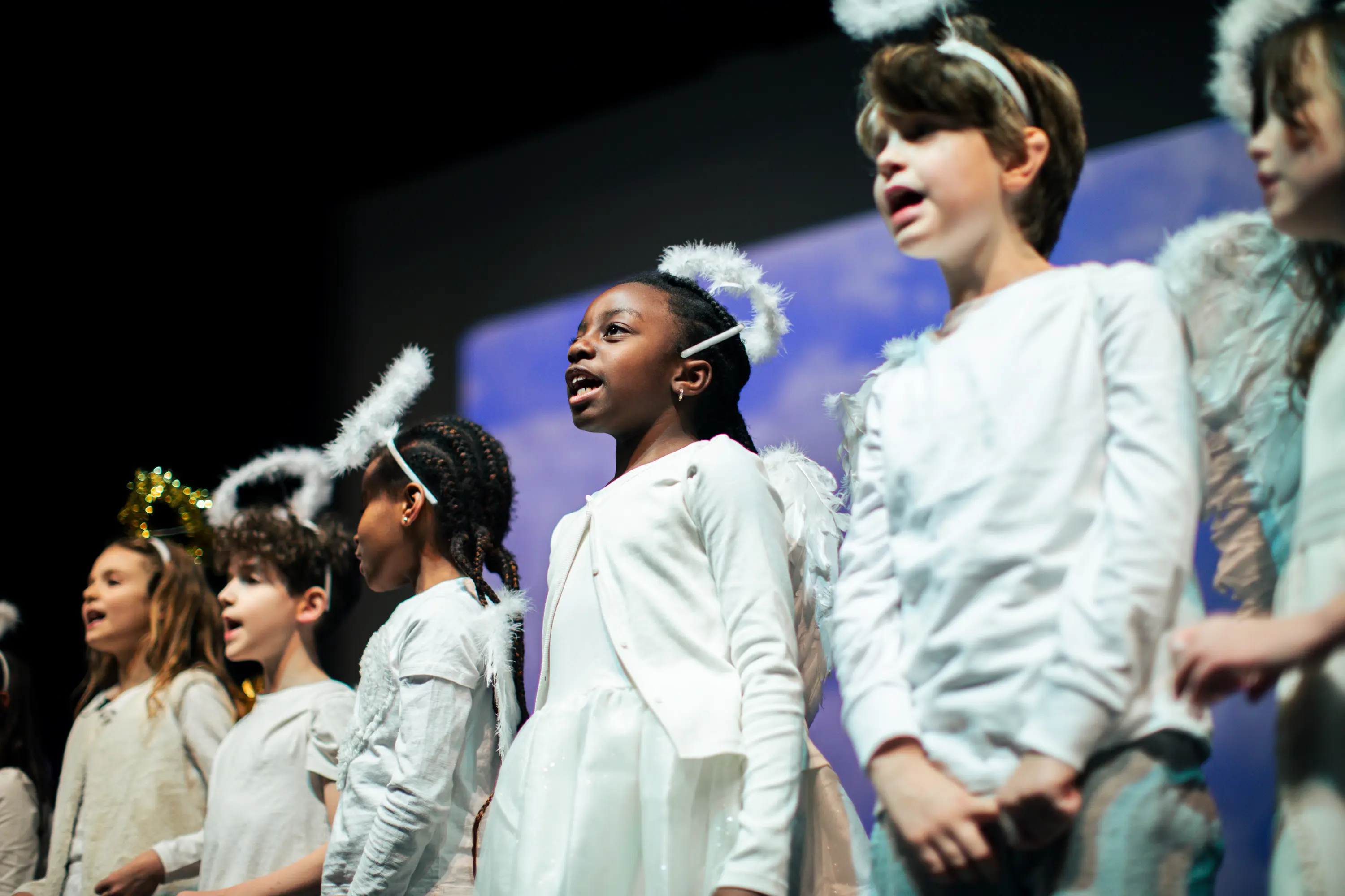 OptimizedImage,,,Optimized