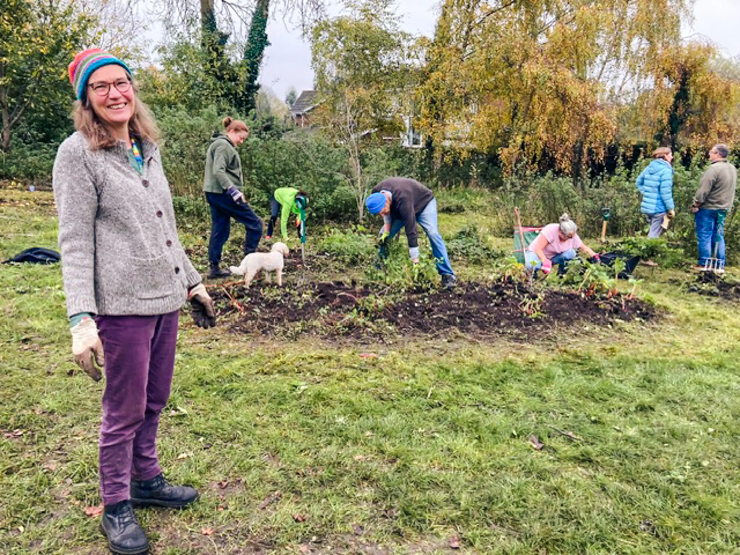 OptimizedImage,Optimized