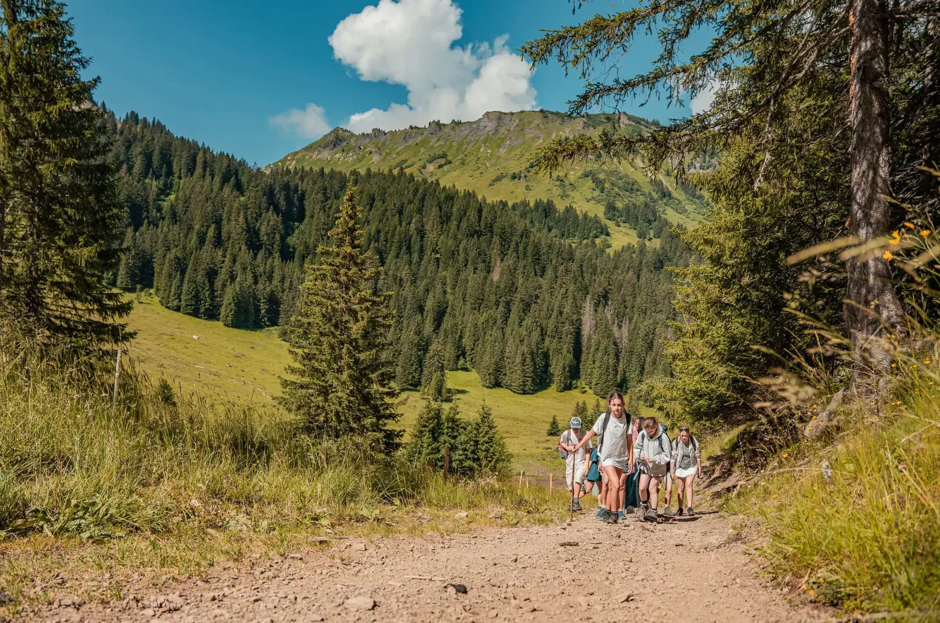 Content Page Gallery Image