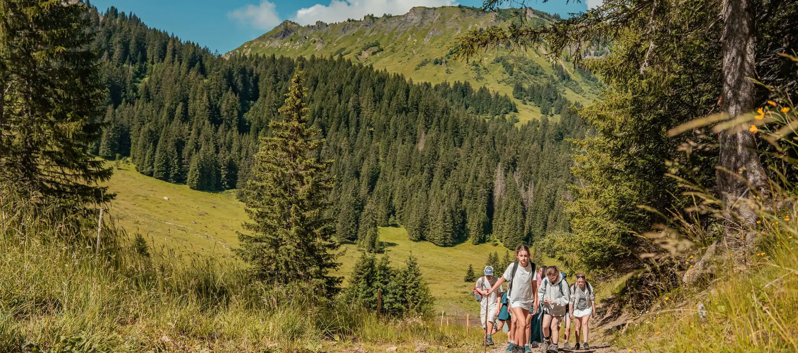 Students on a trip