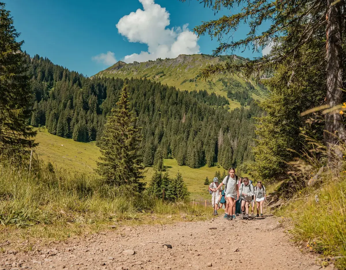 Special Educational Needs or Disability (SEND)